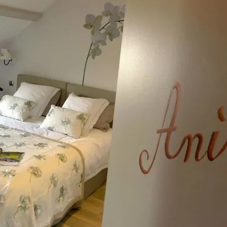 Πανσιόν Domaine Du Clos Fleuri -